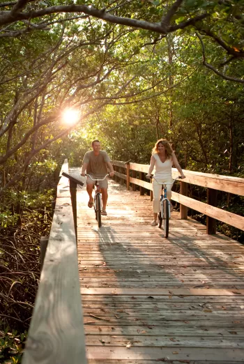Cyclists riding along a nature trail