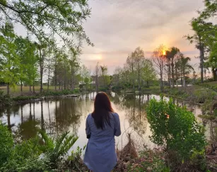 lakes park nature pond sunset