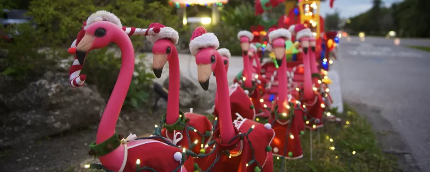 Merry Christmas in Fort Myers