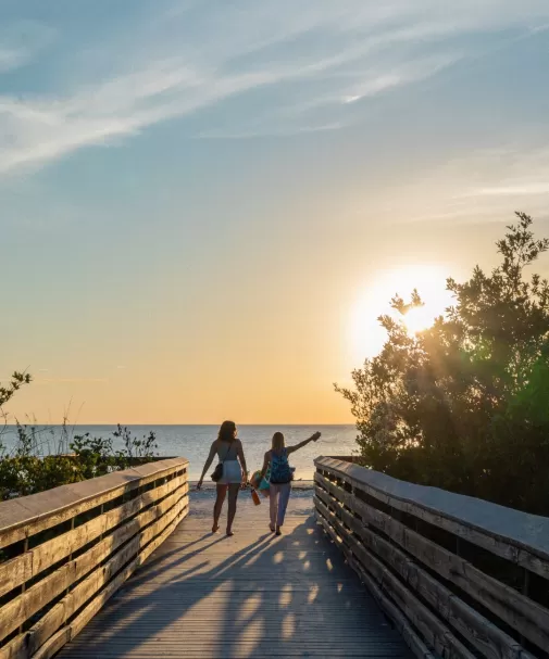 Trail Boardwalk Beach Sky Sun Friends