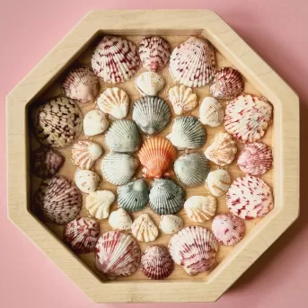 Seashells and shell art are displayed on Sanibel Island.